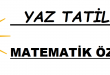 Yaz tatilinde matematik özel ders verenler